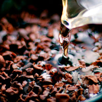 Foundry Chocolate | 70% Dark Peru with Whisky