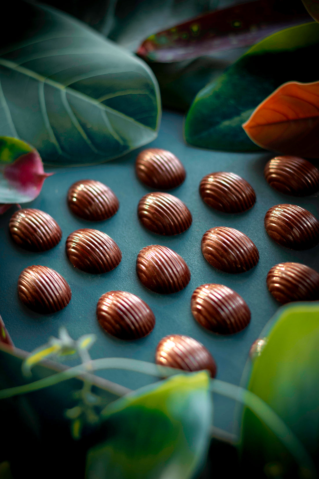 Foundry Chocolate - Easter Egg - Vanuatu 70%